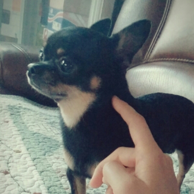 봉봉0930 프로필