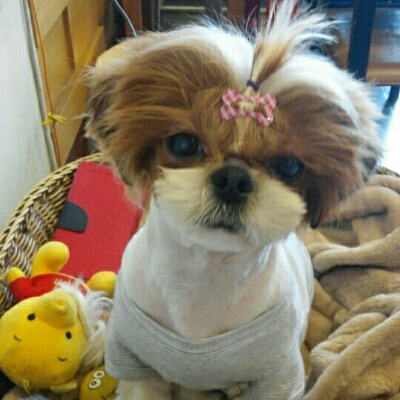하나야카 프로필