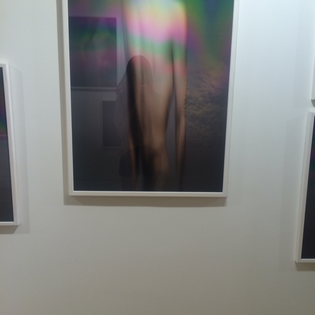 여름소나무 프로필