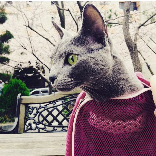 리뷰어 프로필