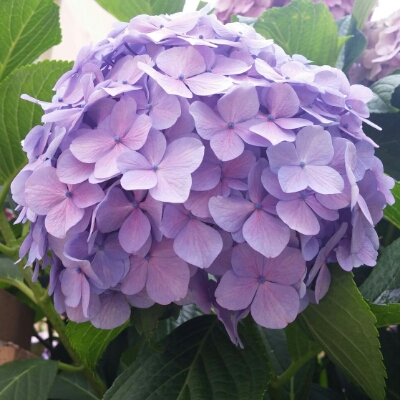 새콩달콩 프로필