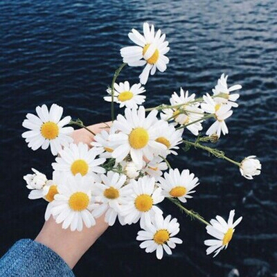 고구마프레즐 프로필