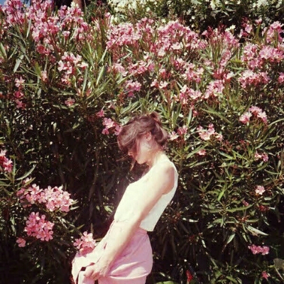 다숌 프로필