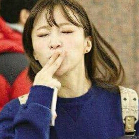 찹쌀떡사료 프로필