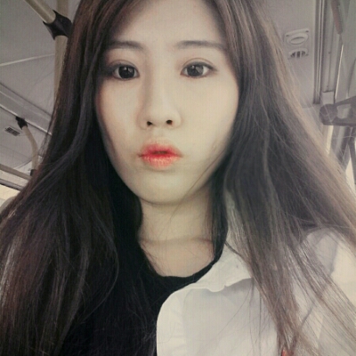 시선 프로필