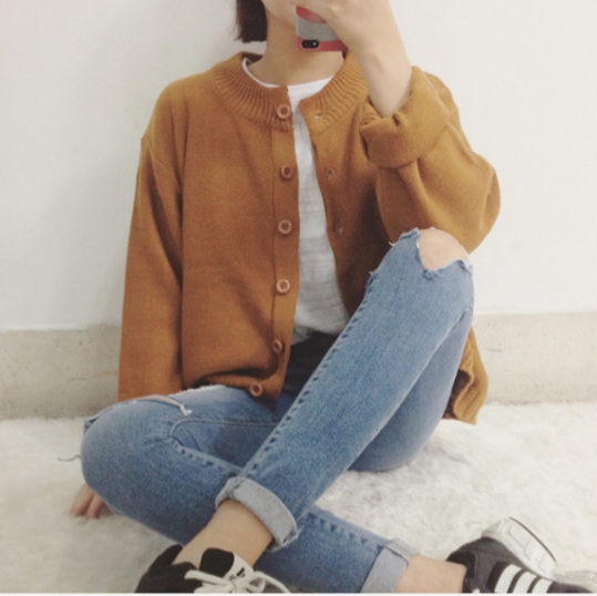 하니이 프로필