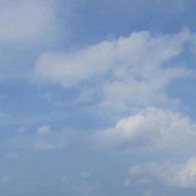 하늘보리 프로필
