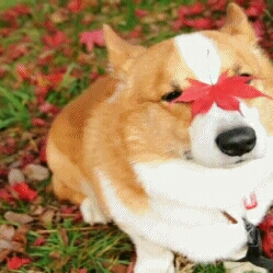 간짬 프로필