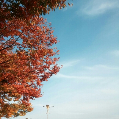 행복하쟈 프로필