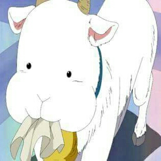 리뷰어 프로필