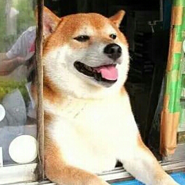 향긋한커리 프로필