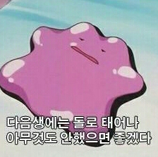 탬찌 프로필