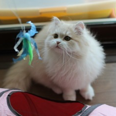 리뷰어 프로필