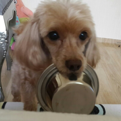 리뷰어 프로필