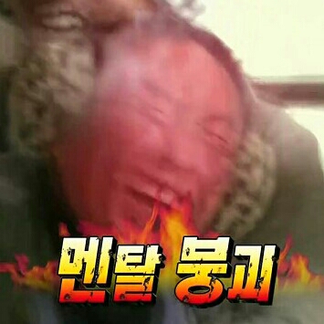 박영림 프로필