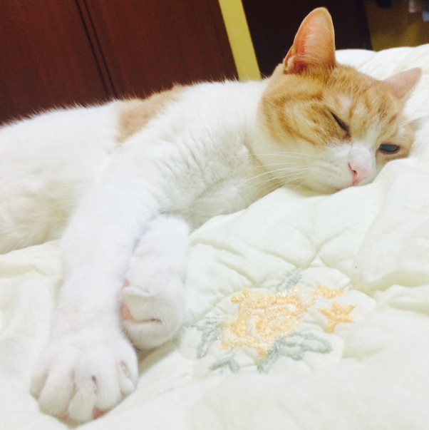 까르 프로필