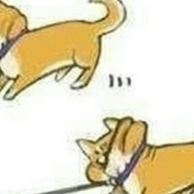 빺 프로필