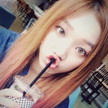 호지 프로필
