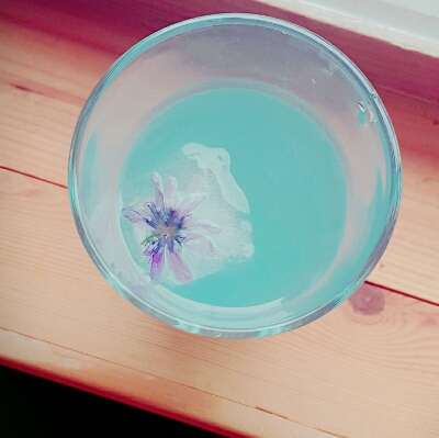 bom456 프로필