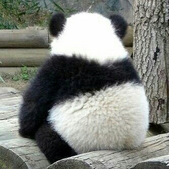 좋은언니 프로필