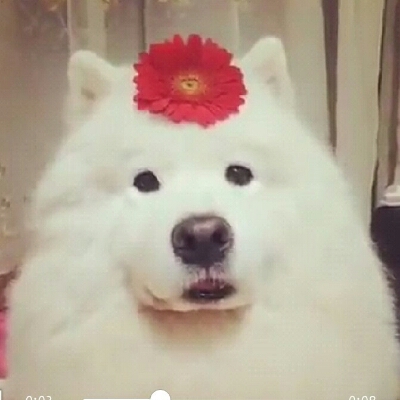 귀요미횽횽 프로필