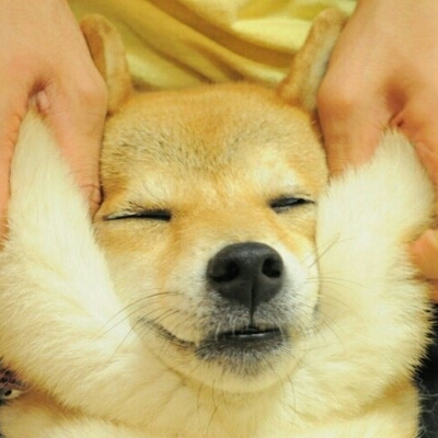 오타쟁이 프로필