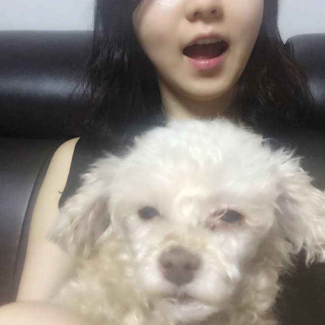 테디뭉 프로필