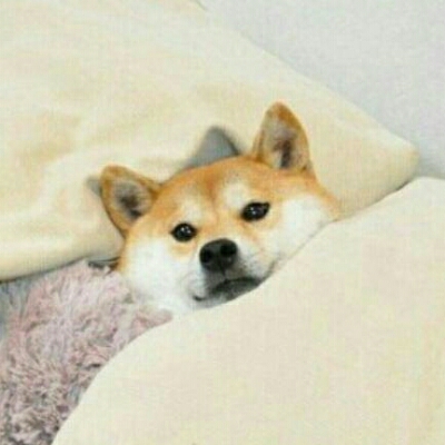 ey2376 프로필