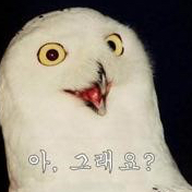 정자동양갱 프로필