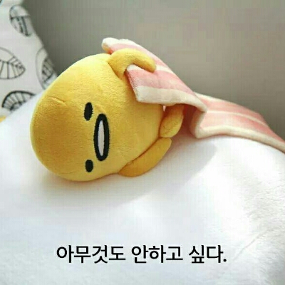 리뷰어 프로필