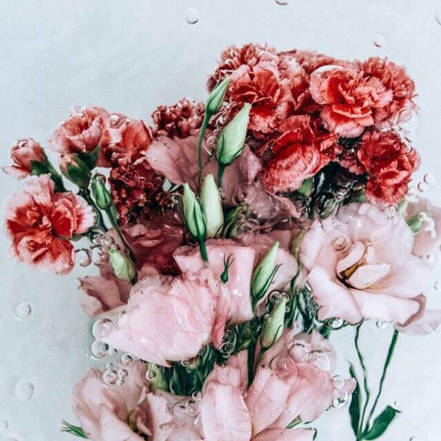 zkscy 프로필