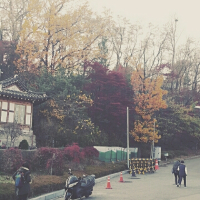 청포도버블 프로필