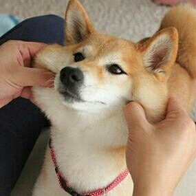 육희 프로필