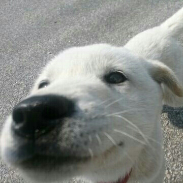 oㅇO 프로필