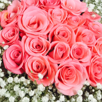 jey2799 프로필