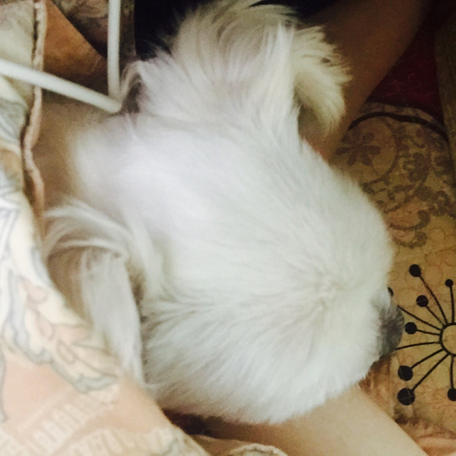 웅슬 프로필