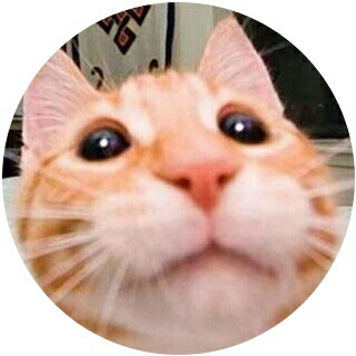 메야리 프로필