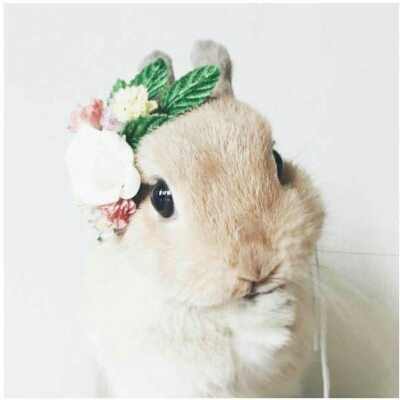 리뷰어 프로필