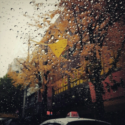 ㅅㅋㄹ 프로필