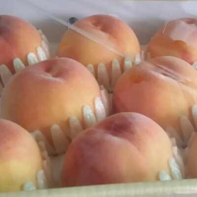 민이훈이맘 프로필