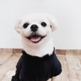 JJEOLL