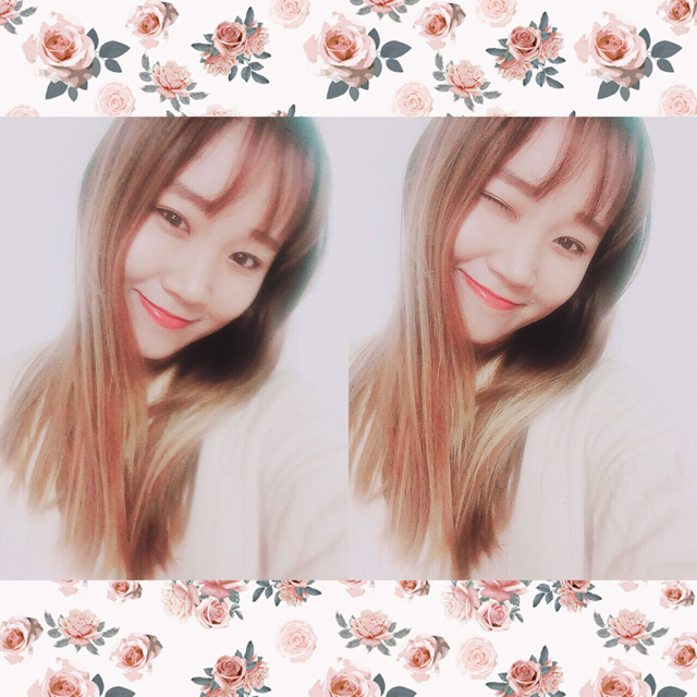 슈블리S2 프로필