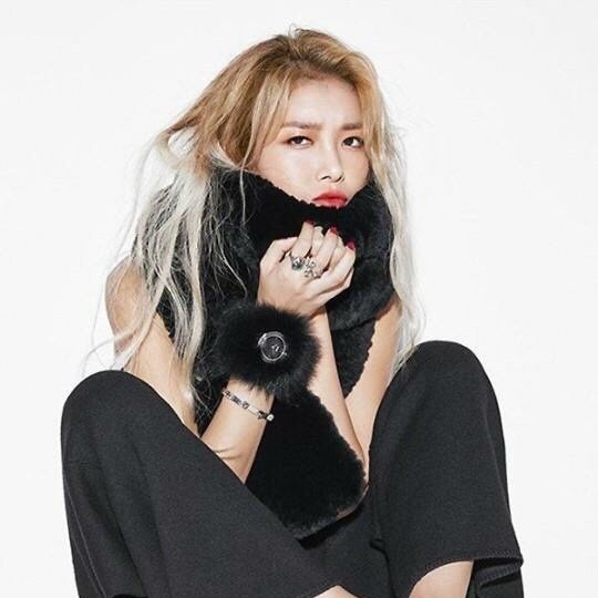 미인지존30 프로필