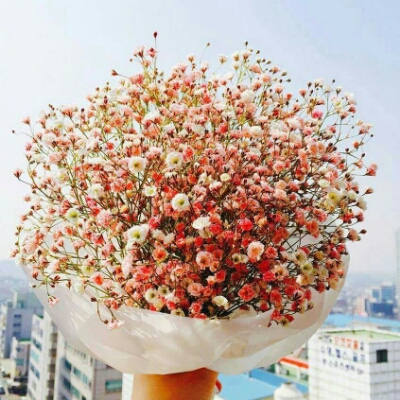 귤먹자 프로필