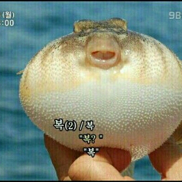 뉸뉴12 프로필