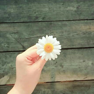 펩시콜라0 프로필