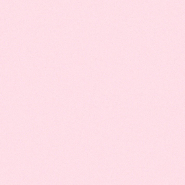 김모루 프로필