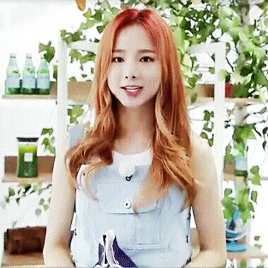 sontndi 프로필