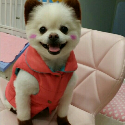 리뷰어 프로필