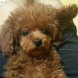 여름쿨브라이트